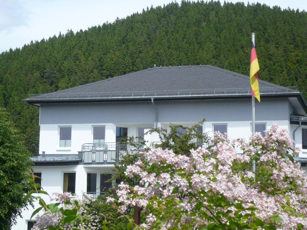 Fewo Penthaus-Blick Willingen  Exterior foto